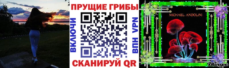 Купить где  Нюрба  Псилоцибиновые грибы Cubensis 